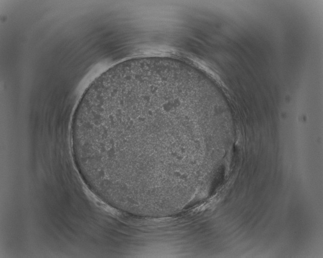 X0000067901471200605041605