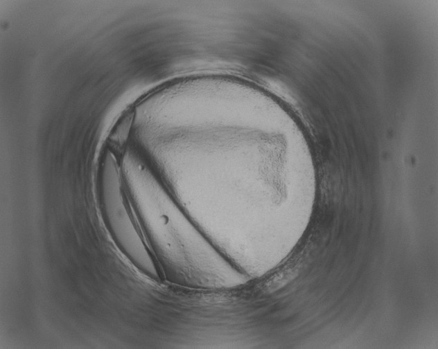 X0000067901472200605041605