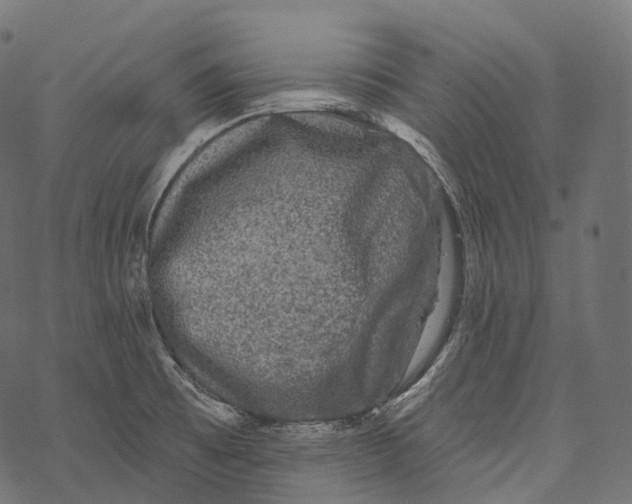 X0000067901473200605041605