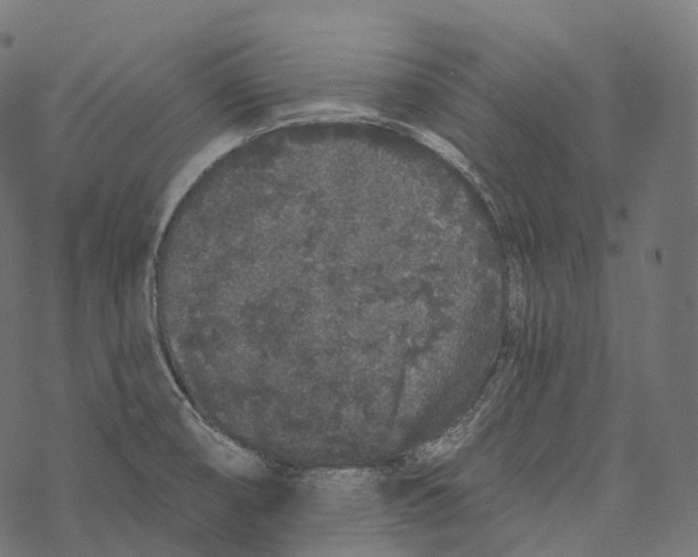 X0000067901474200605041605