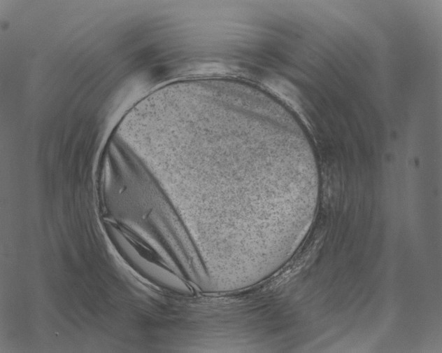 X0000067901475200605041605