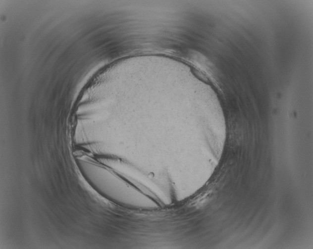 X0000067901476200605041605