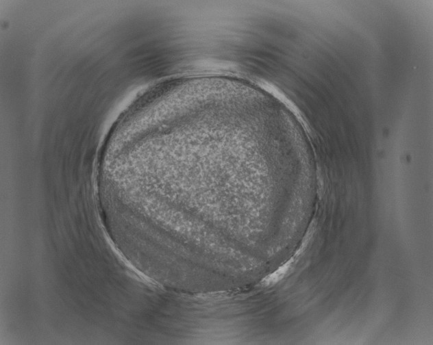 X0000067901477200605041605