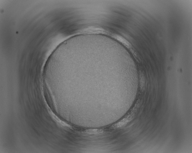 X0000067901478200605041605