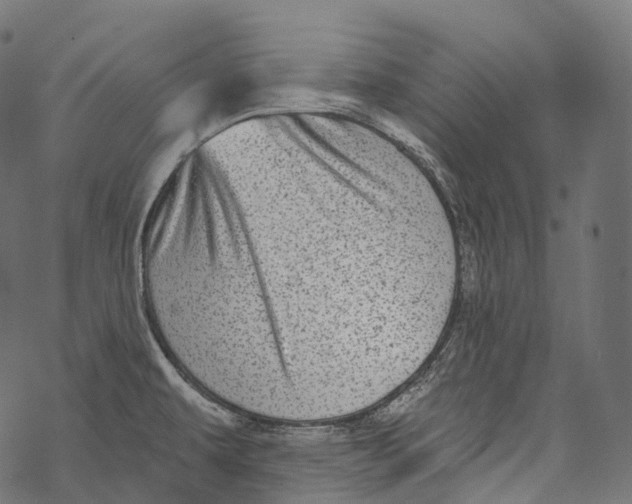 X0000067901479200605041605