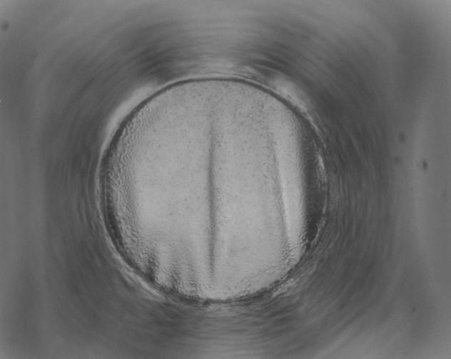 X0000067901480200605041605