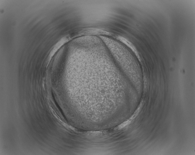 X0000067901481200605041605