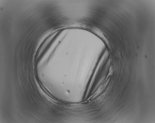 X0000067901483200605041605