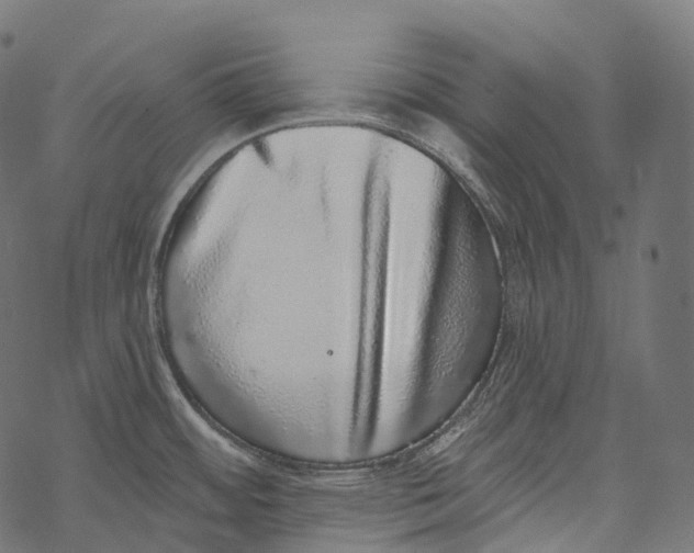 X0000067901484200605041605