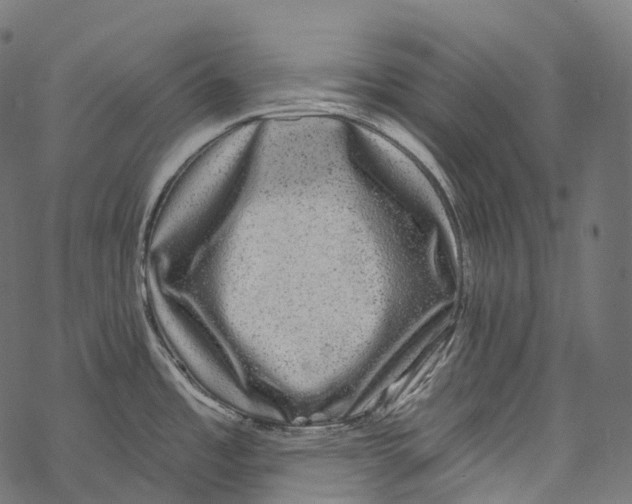 X0000067901485200605041605