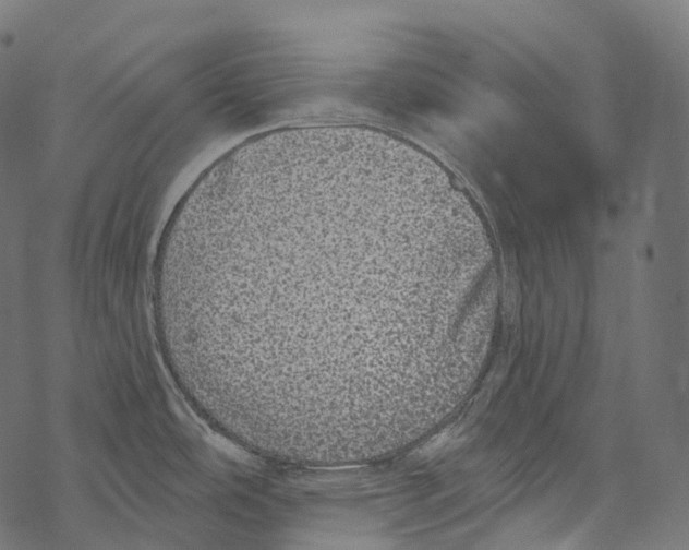 X0000067901486200605041605