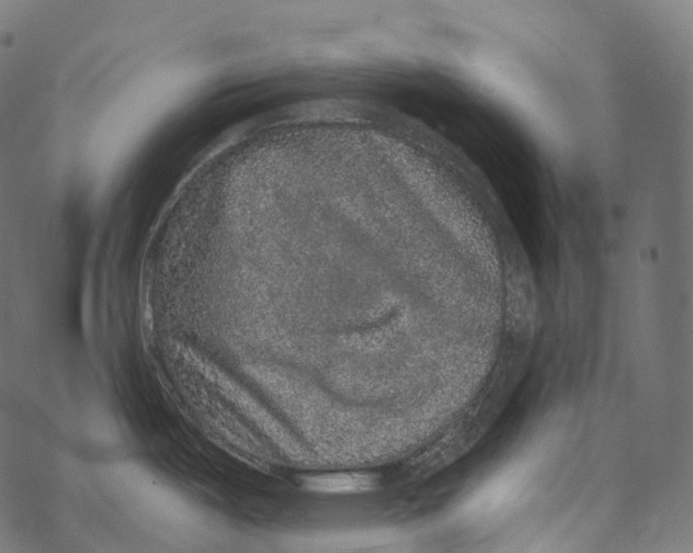 X0000067901487200605041605