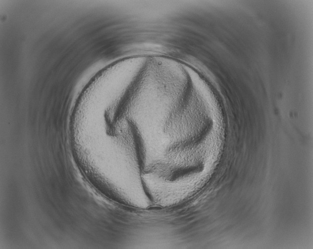 X0000067901488200605041605