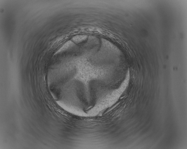 X0000067901489200605041604