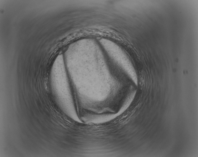 X0000067901490200605041604