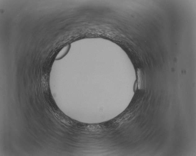 X0000067901491200605041604