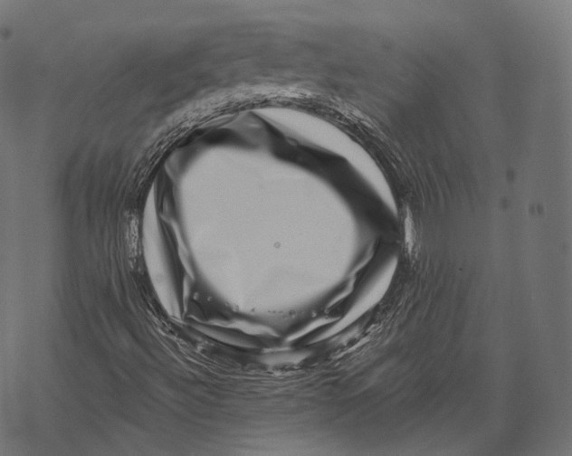 X0000067901492200605041604