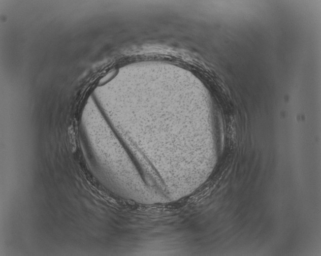 X0000067901493200605041604