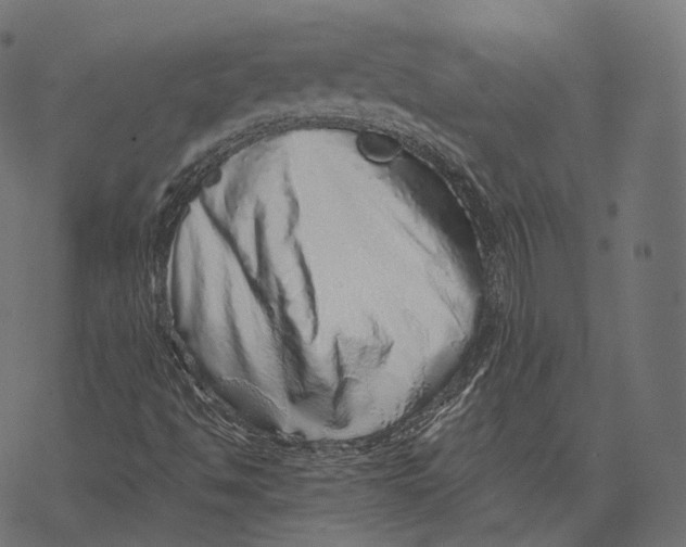 X0000067901494200605041604