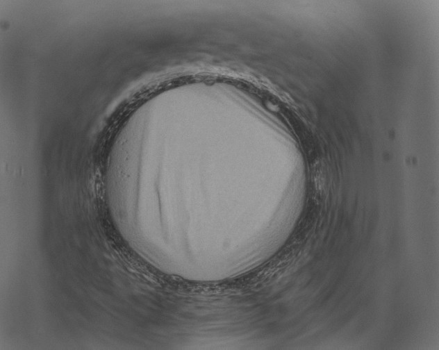 X0000067901495200605041604