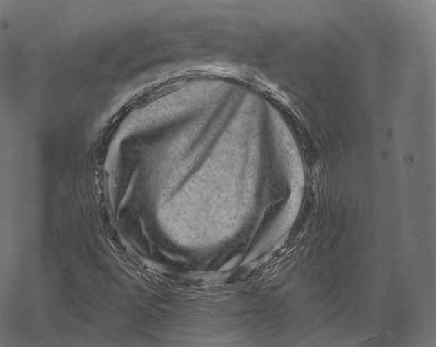 X0000067901496200605041604