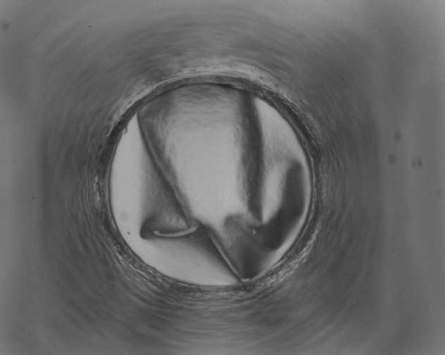 X0000067901497200605041604