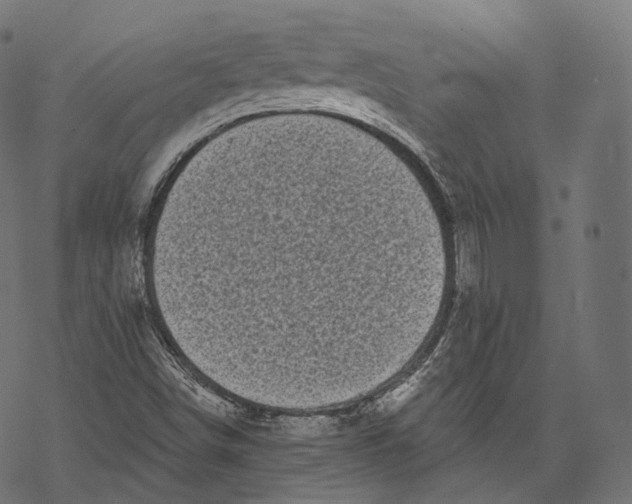 X0000067901498200605041604