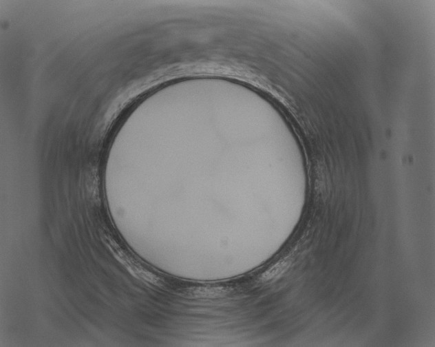 X0000067901499200605041604