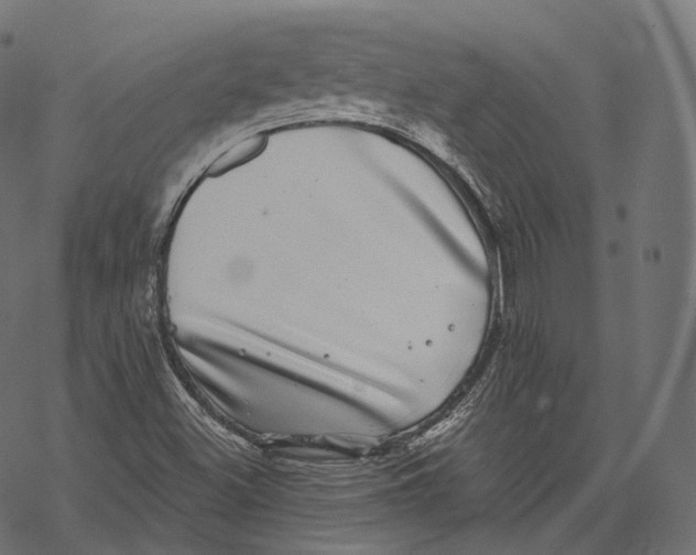 X0000067901500200605041604