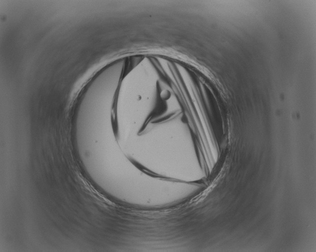 X0000067901502200605041604