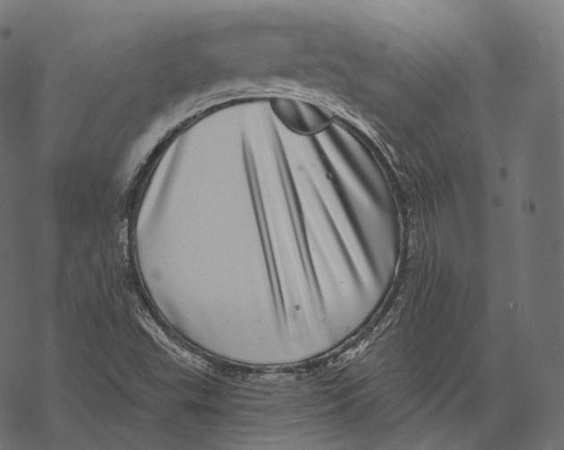 X0000067901503200605041604