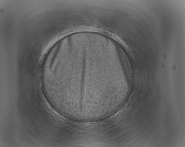 X0000067901504200605041604