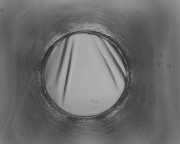 X0000067901505200605041604