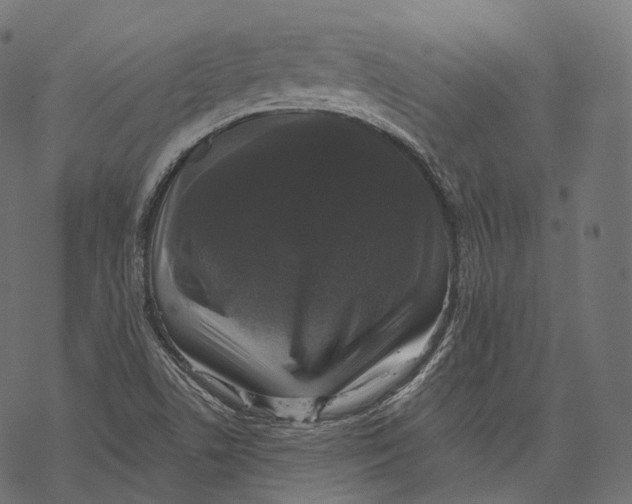 X0000067901506200605041604