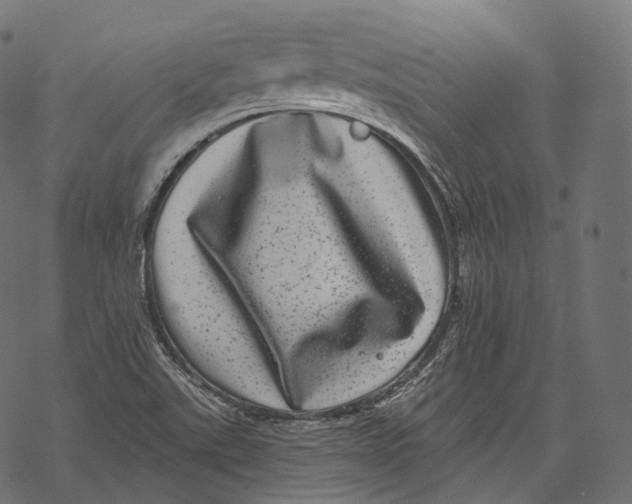 X0000067901507200605041604