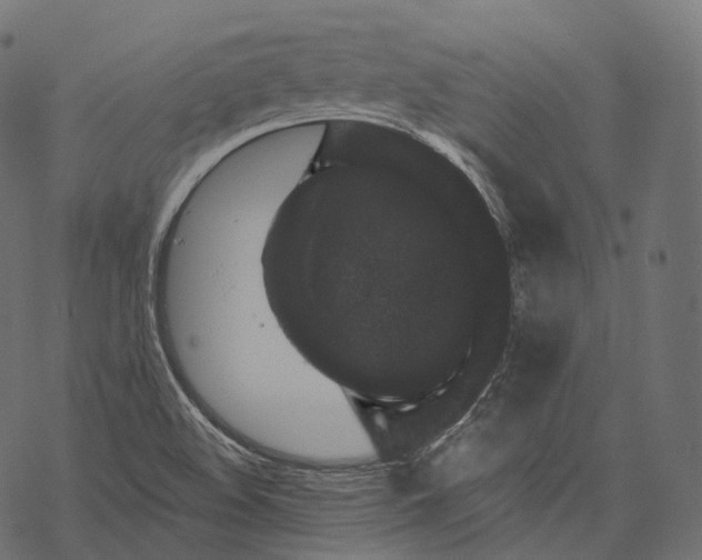 X0000067901508200605041604