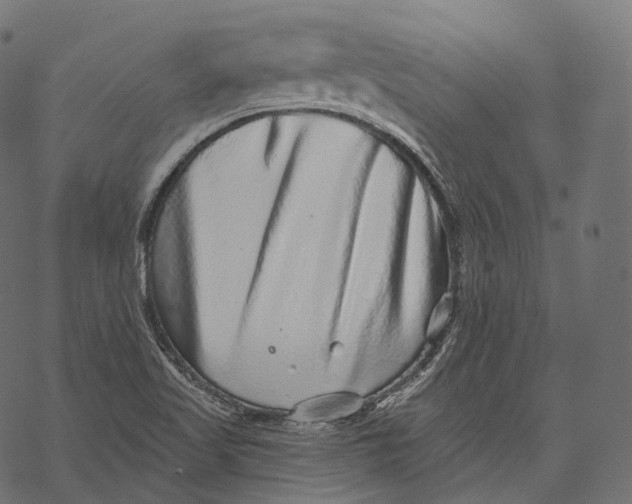 X0000067901509200605041604