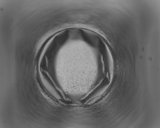 X0000067901511200605041604