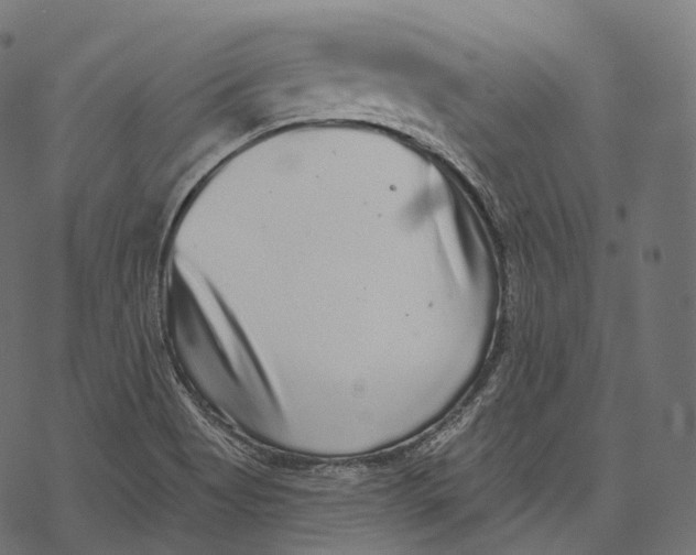 X0000067901513200605041604