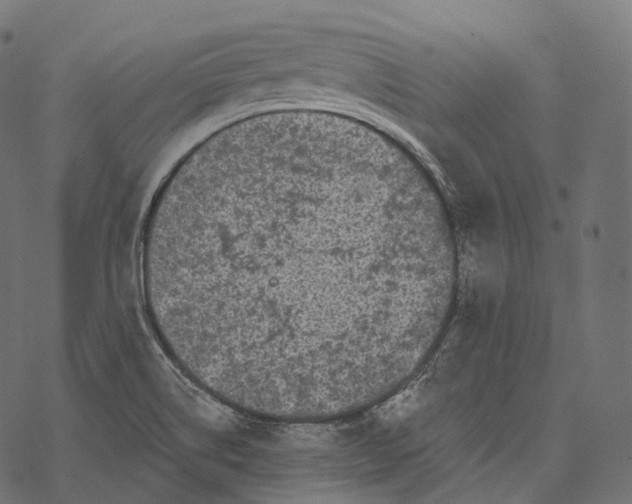 X0000067901514200605041604