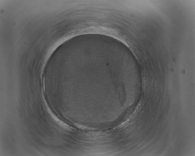 X0000067901515200605041604