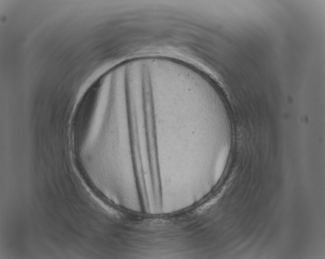 X0000067901517200605041605