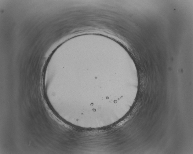 X0000067901518200605041605