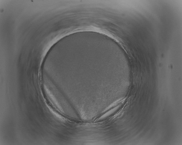 X0000067901519200605041605