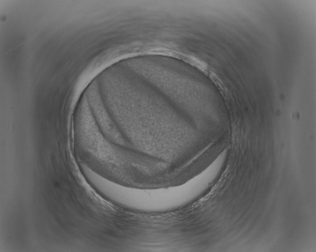 X0000067901520200605041605