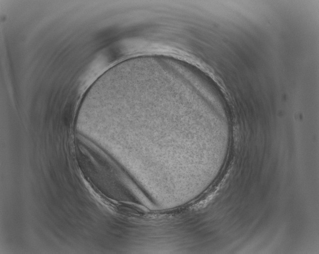 X0000067901521200605041605