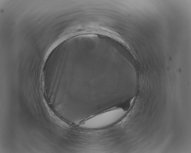 X0000067901522200605041605