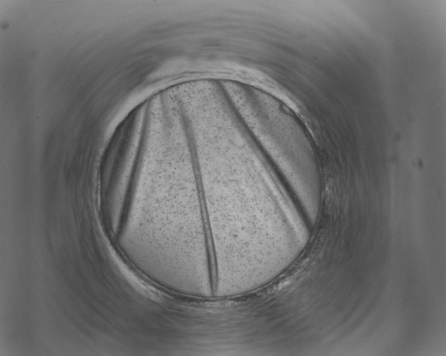 X0000067901523200605041605