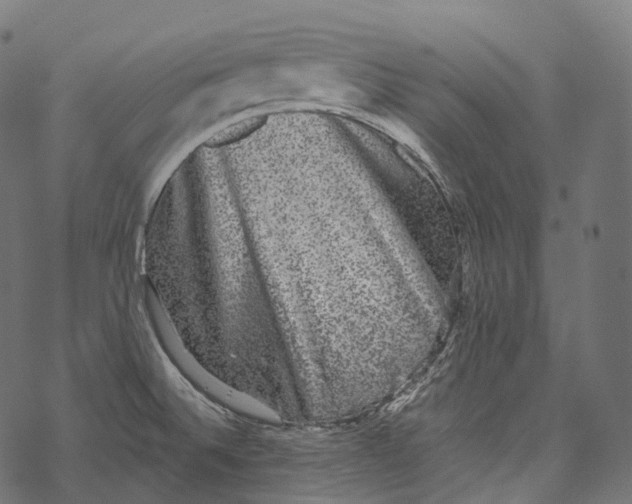 X0000067901524200605041605