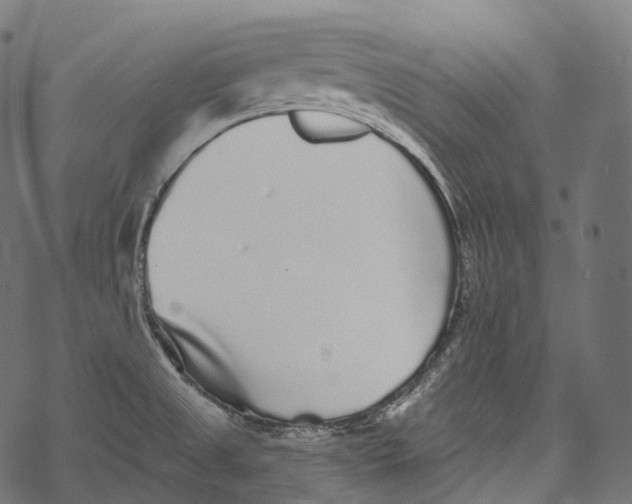 X0000067901525200605041605